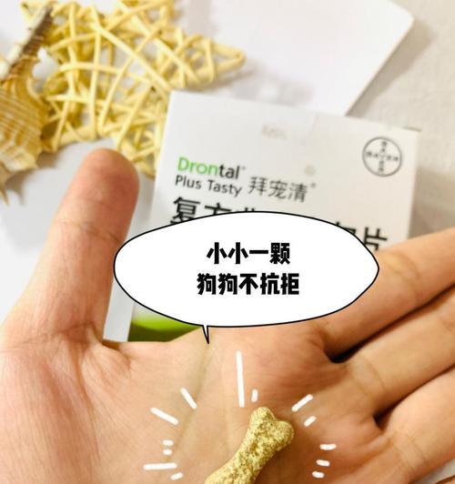 狗狗吃了驱虫药后拉肚子怎么办（以宠物为主的常见问题解决）