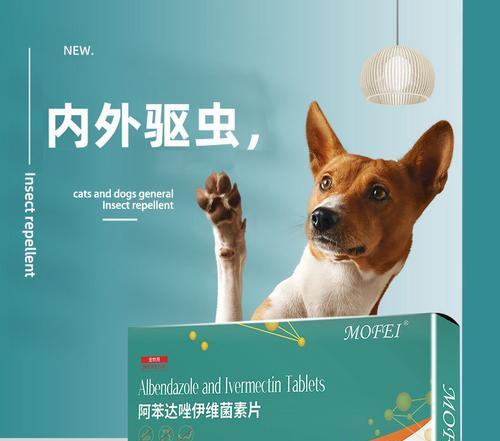 给宠物狗打伊维菌素针的必要性与注意事项（保护爱犬健康）