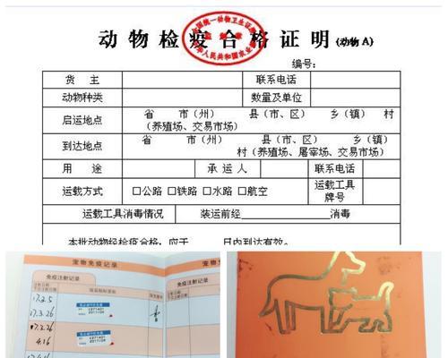 狗狗五联一疫苗价格分析（以宠物健康为重）