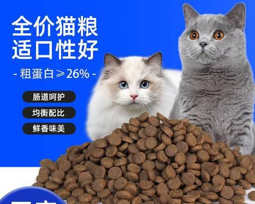 猫咪的食物能否被消化（探究猫咪食物消化机制及饮食建议）