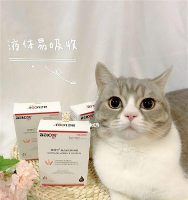 如何科学补充宠物猫咪的维生素（维生素补充须知）