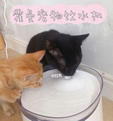 猫咪冬天不喝水（揭秘猫咪喝水的习惯）