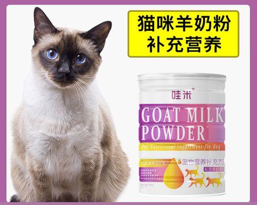 如何解决宠物猫咪肚子堵塞的问题（探究肚子堵塞的原因和治疗方法）