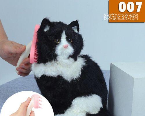 宠物猫梳毛指南——猫咪多大才适合梳毛？