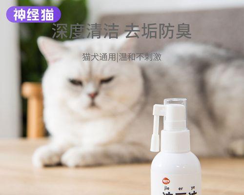 猫咪清理耳朵的时间（养宠物必知）