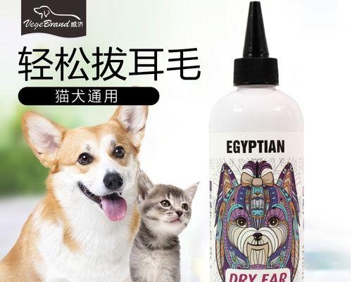 猫咪耳朵护理（猫咪耳朵应该如何清洁）