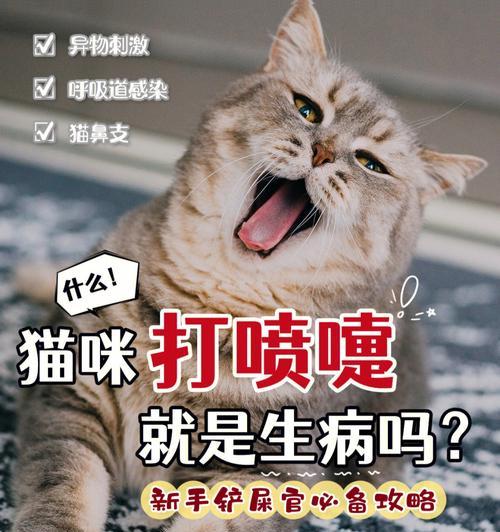 猫咪打喷嚏流眼泪该怎么办（了解病因和治疗方法）