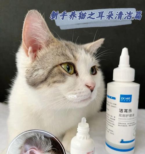 猫咪干咳的原因、治疗和预防方法（宠物猫咪干咳是什么）