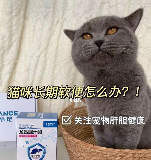 猫咪肝不好的症状及防治措施（宠物猫咪肝功能异常的表现和预防方法）