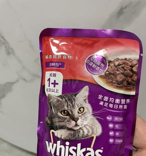 猫咪肝胆疾病的治疗药物及注意事项（以宠物为主）