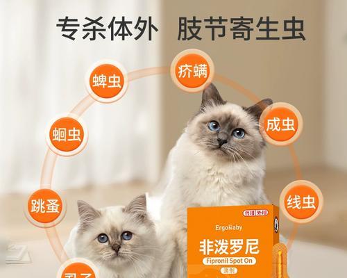 猫咪关节病的最佳治疗药品（以宠物为主）