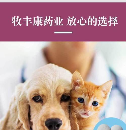 小猫因阿莫西林吐怎么办（以宠物为主）