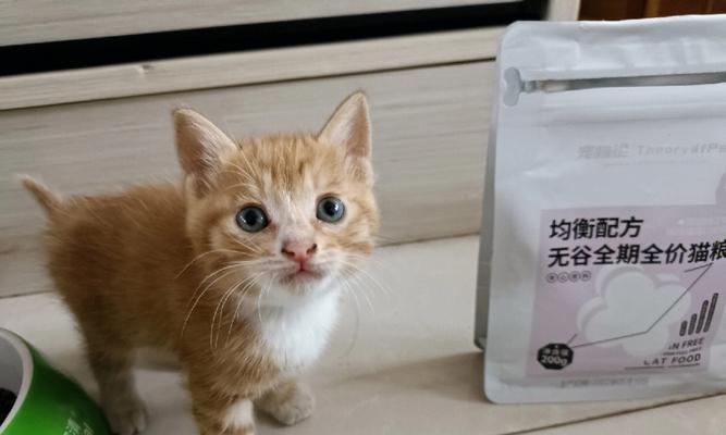 为什么我的宠物猫不吃东西（解决宠物猫不吃东西的常见问题与方法）