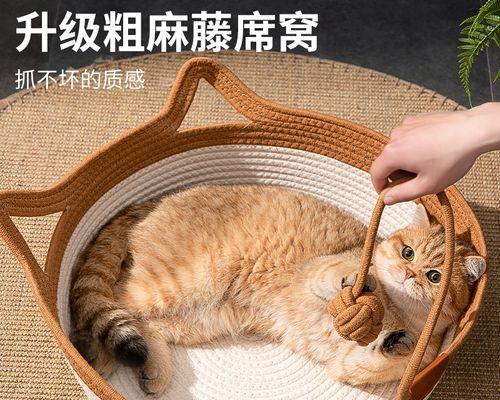 小猫为什么不喜欢睡猫窝（从宠物的角度看猫窝对于小猫的不适应）