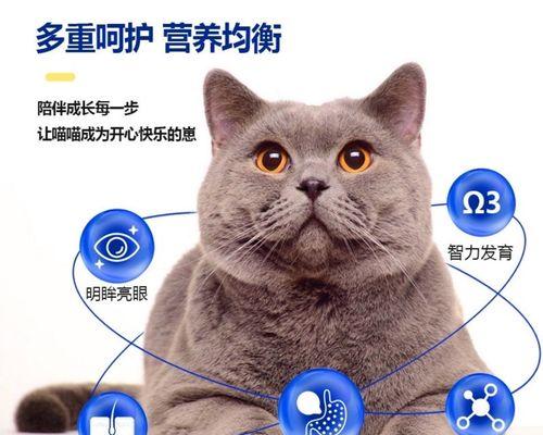 小猫吃猫粮老是吐（宠物饮食健康问题）