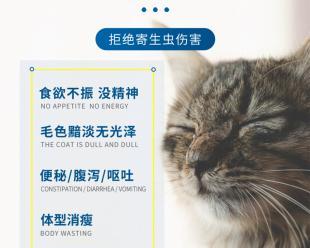 小猫喘吃药指南（宠物健康小常识）