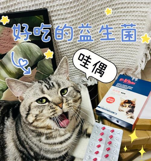 探究宠物小猫的消化系统（小猫胃在哪儿）