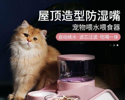 小猫喝水的正确方式（萌宠怎么喝水最健康）