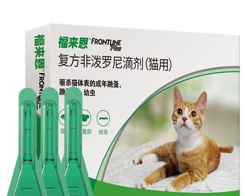 小猫福来恩（探索小猫福来恩的魅力与特点）