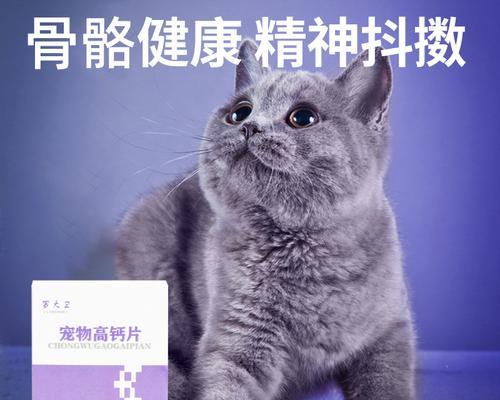 小猫钙片过量食用的危害（以宠物为主）