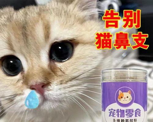 小猫感冒了，怎么办（宠物猫的流鼻涕发红症状及治疗方案）