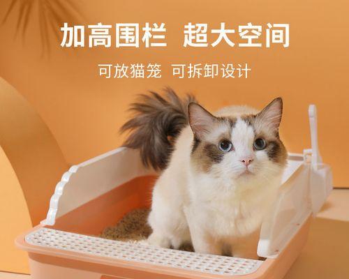 小猫为何害怕进猫砂盆（了解宠物心理需求）