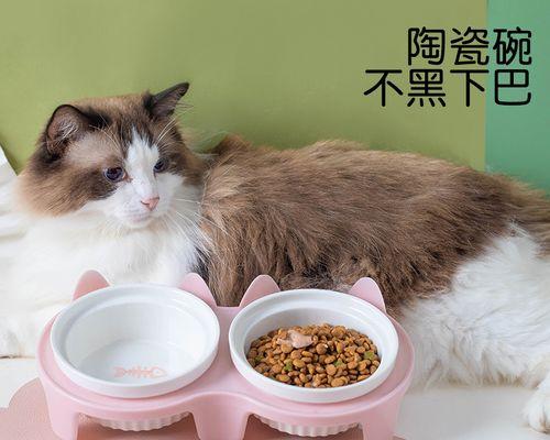 从小猫怀孕到分娩，你需要知道的一切（探究小猫怀孕周期）