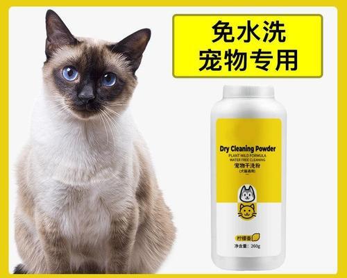 小猫怀孕，该不该洗澡（以宠物为主）