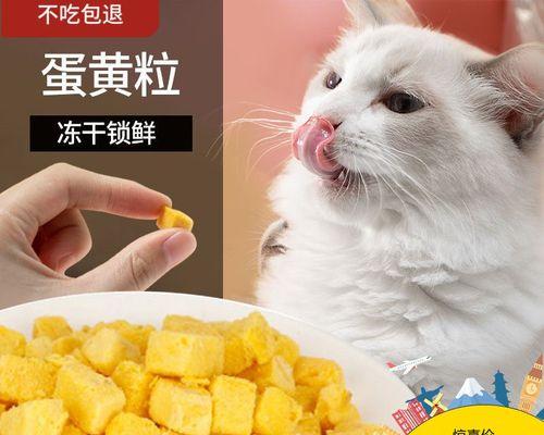 小猫可以吃生蛋黄吗（探究小猫的饮食需求与健康饮食之道）