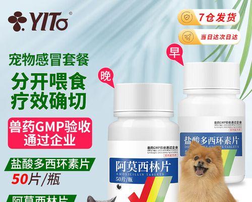 小猫拉肚子吃阿莫西林的注意事项（关于宠物服用阿莫西林的正确姿势）