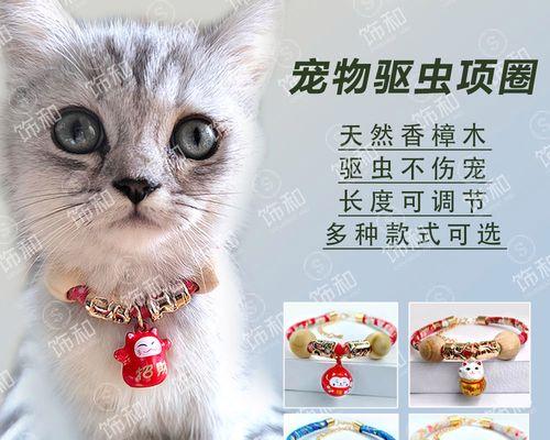 如何为你的小猫进行驱虫？