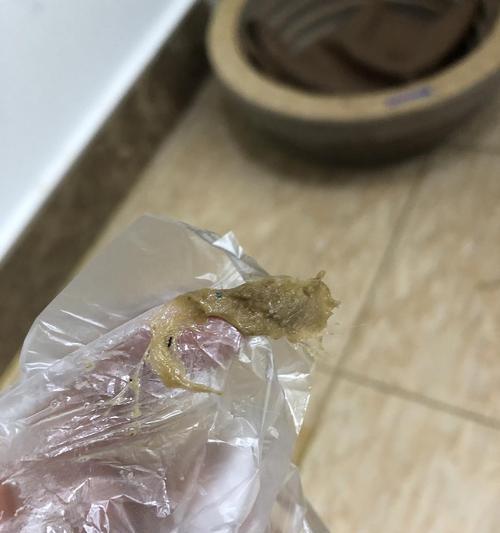 小猫免疫后呕吐的原因和解决方法（从宠物养护和疾病预防角度分析）