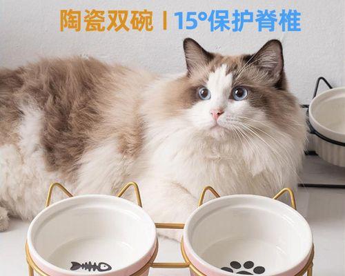 老猫叼小猫的原因剖析（探究老猫为何会叼小猫）