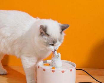 为什么要为猫使用饮水器（探究猫咪常用的饮水方式与用饮水器的优点）
