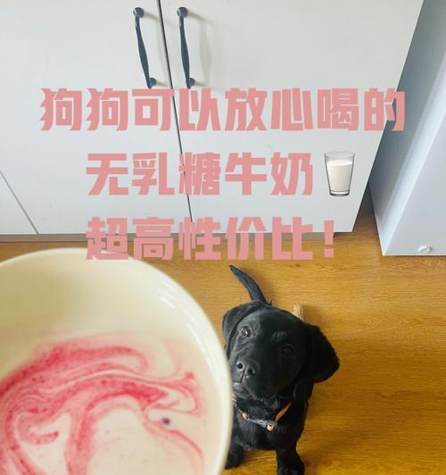 小狗喝纯牛奶能不能拉稀（以宠物为主）