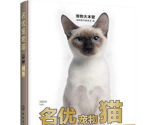 小猫易患肚子不适（如何预防和治疗宠物的消化问题）