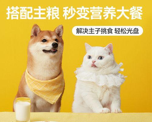 探寻小猫猫粮的购买去处（寻找最适合宠物小猫的健康饮食）