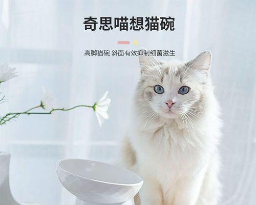 小猫打翻水碗的原因（探究宠物行为的奥秘）