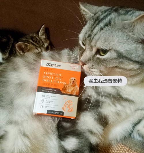 猫咪健康保障（让宠物安心健康｜驱虫打疫苗是必须的）