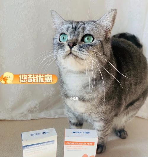 猫咪软便的治疗方法（以药物治疗为主）