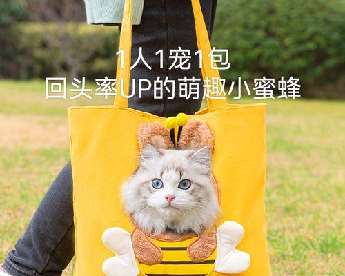 以猫咪售卖的商家如何合法经营（从宠物市场行情到法律法规）