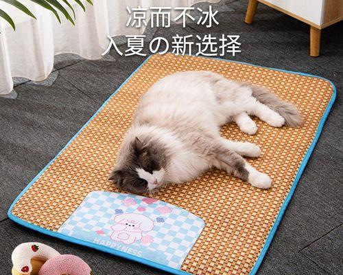 宠物猫咪摔后几天死亡的原因（揭秘猫咪摔倒后的身体反应和处理方法）