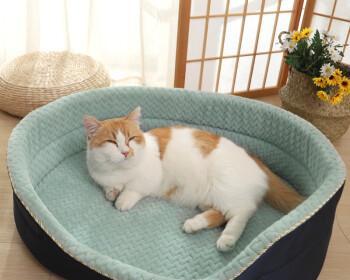 从猫咪睡惯床改变，提高宠物舒适度的方法（如何在猫咪睡惯床的情况下为宠物提供更好的睡眠体验）