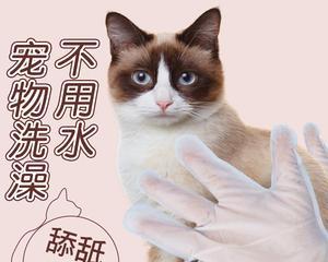 小猫咪的除臭指南（以宠物为主的家居除臭攻略）