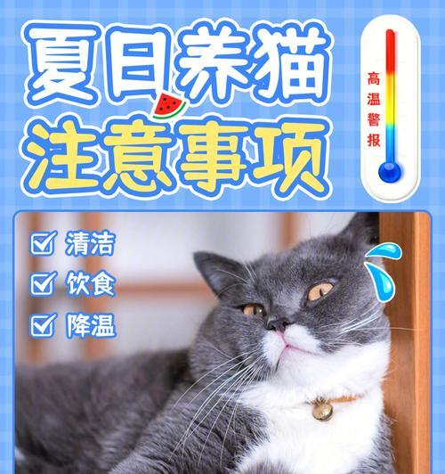 猫咪为什么讨厌花露水（探究猫咪对花露水的厌恶原因及如何保护它们的健康）