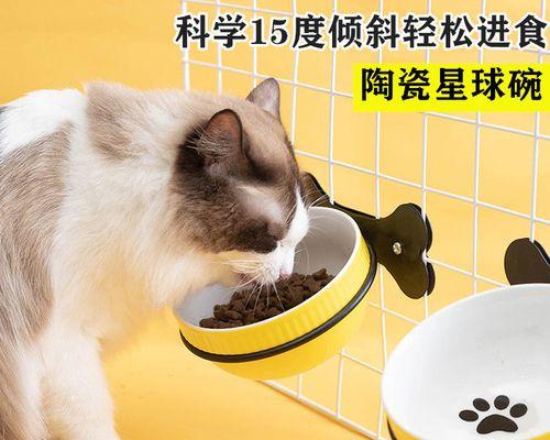 为什么猫咪会怕猫粮（揭开猫咪对猫粮的恐惧原因）