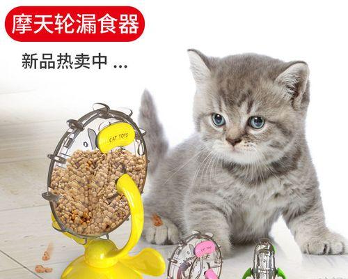 为什么猫咪会吐食物（探究猫咪吐食物的原因和解决方法）