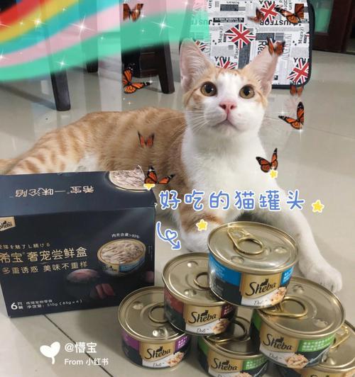 猫咪最爱的罐头美食（探寻宠物口味）