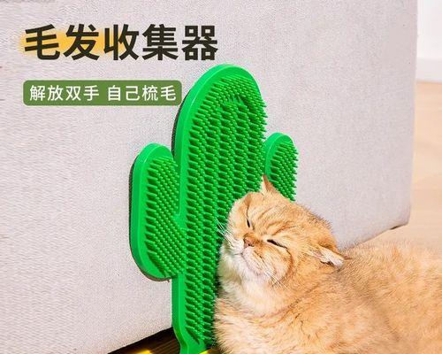 猫咪抓伤后的急救措施（宠物主人必备）