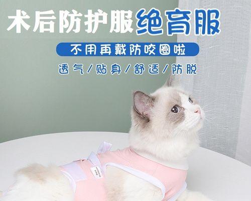 母猫会压死小猫吗（揭开宠物猫压死小猫的神秘面纱）